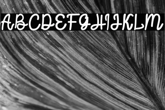 Protector Font examples