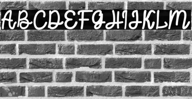 Protector Font examples