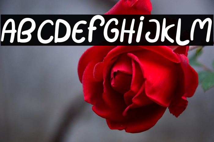 ProteehFunny Example 3