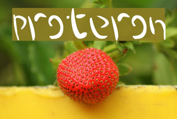 Proteron Font examples