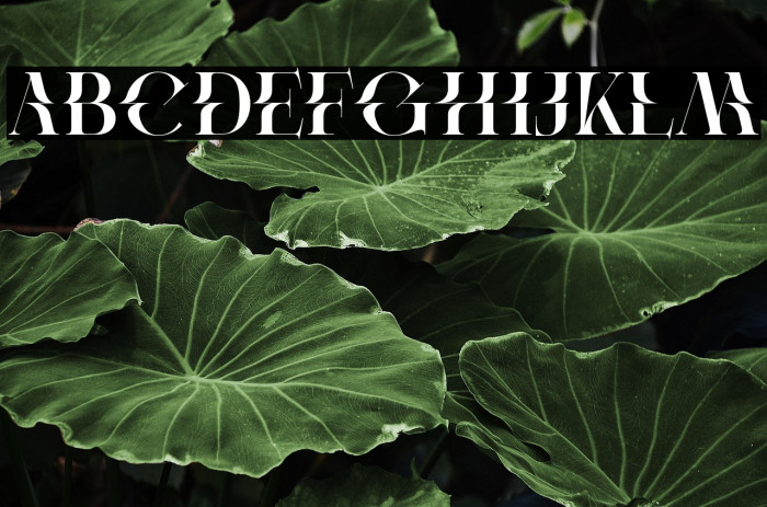 Protest Demo Regular Example 1