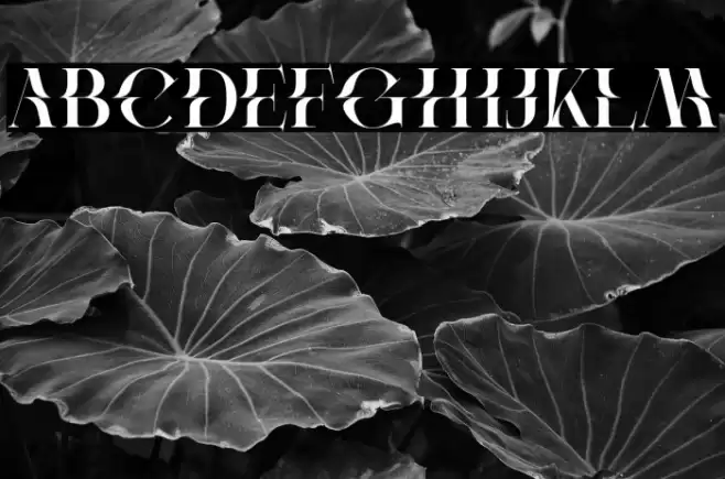 Protest Demo Regular Font examples