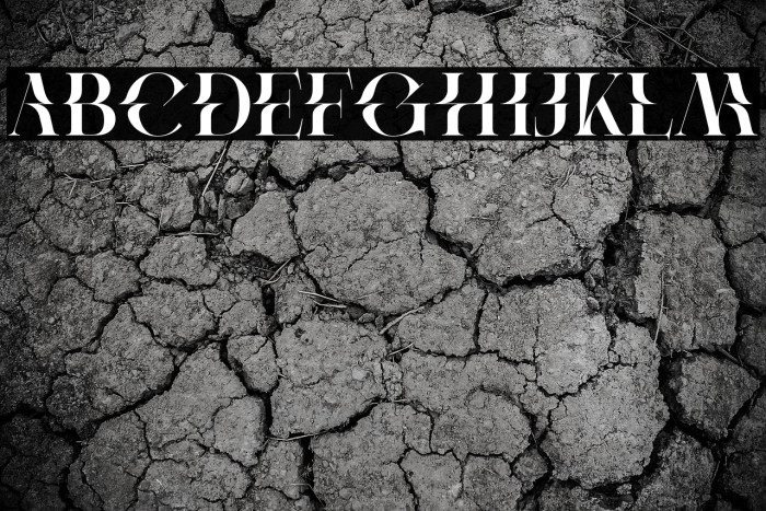 Protest Demo Regular Example 2