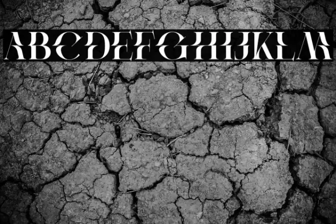 Protest Demo Regular Font examples