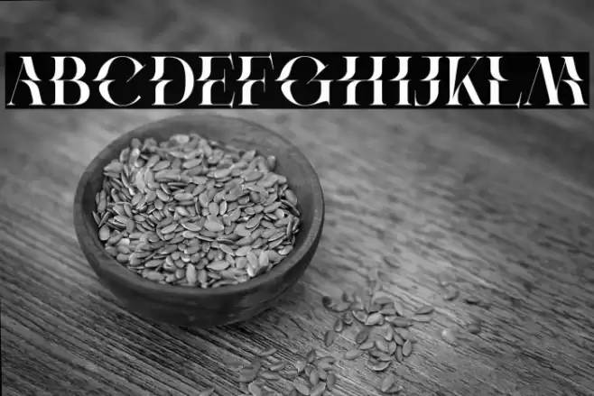 Protest Demo Regular Font examples