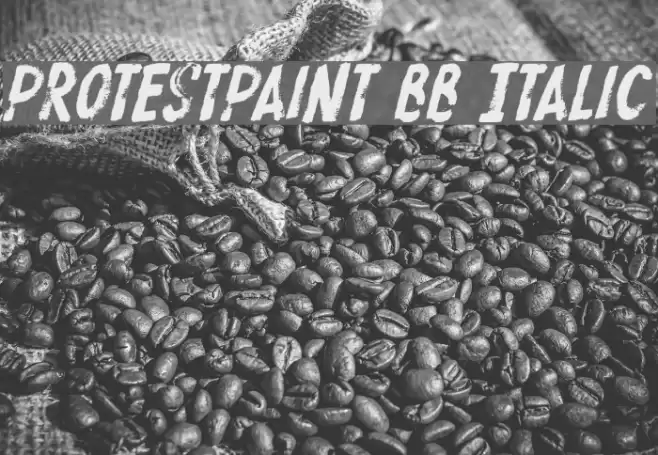 ProtestPaint BB Italic Font examples