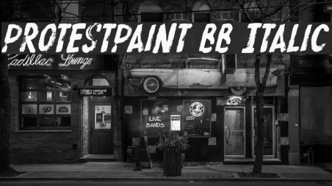 ProtestPaint BB Italic Font examples