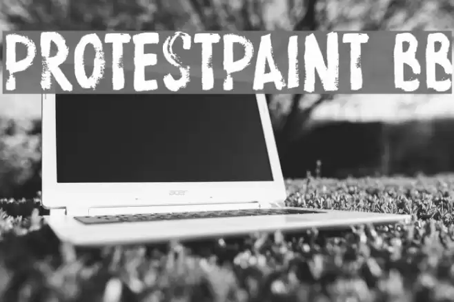 ProtestPaint BB Font examples