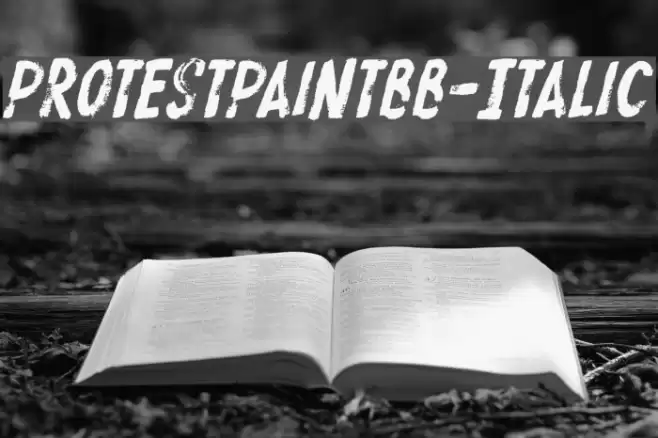 ProtestPaintBB-Italic Font examples