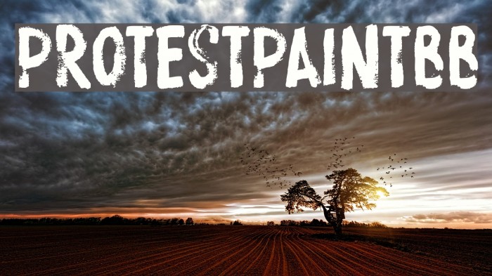 ProtestPaintBB Font examples