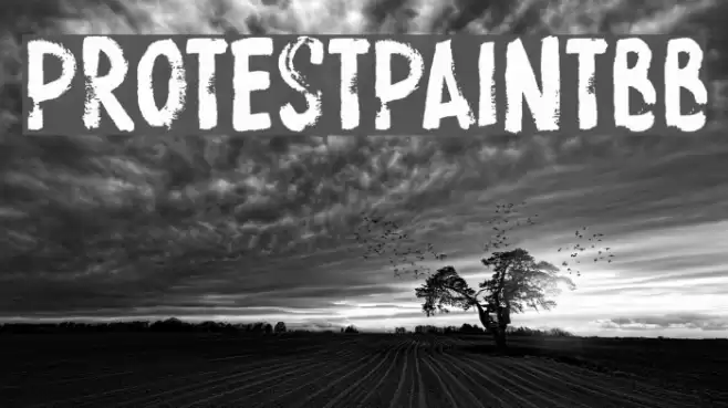 ProtestPaintBB Caratteri examples