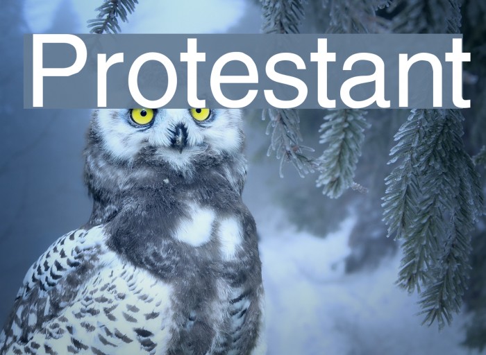 Protestant Font examples