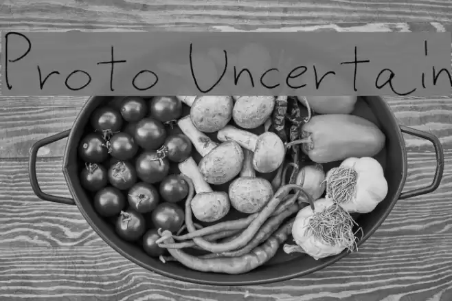 Proto Uncertain Font examples