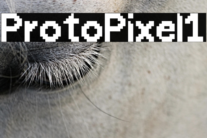 ProtoPixel1 Example 1