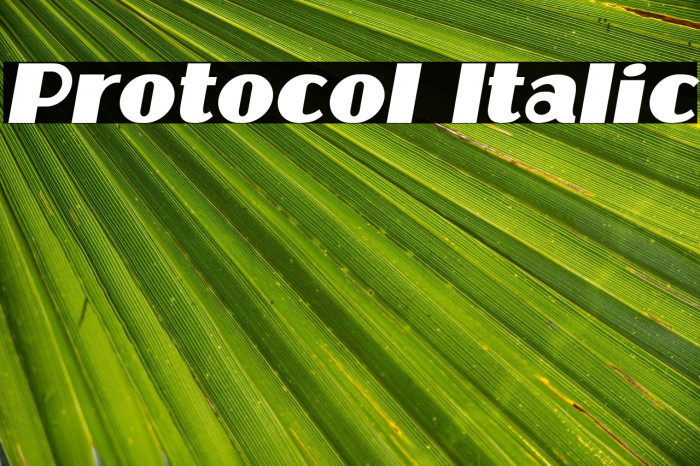 Protocol Italic Font examples
