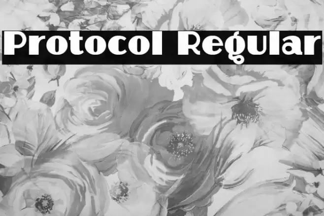 Protocol Regular Font examples