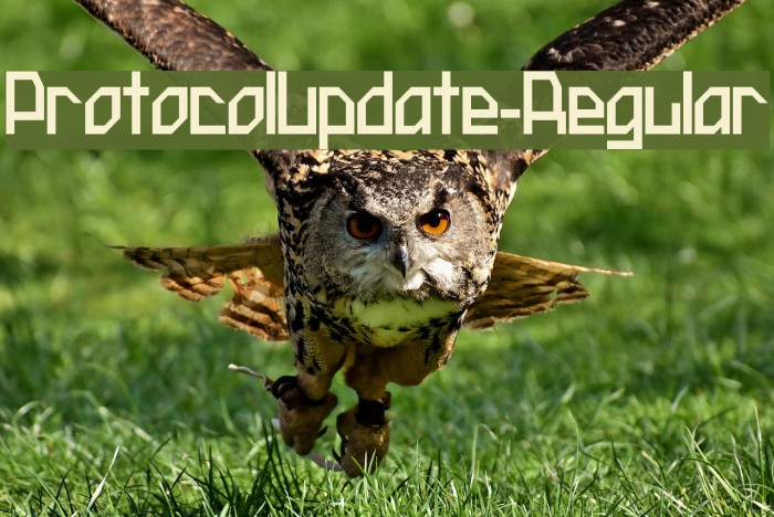 ProtocolUpdate-Regular Font examples