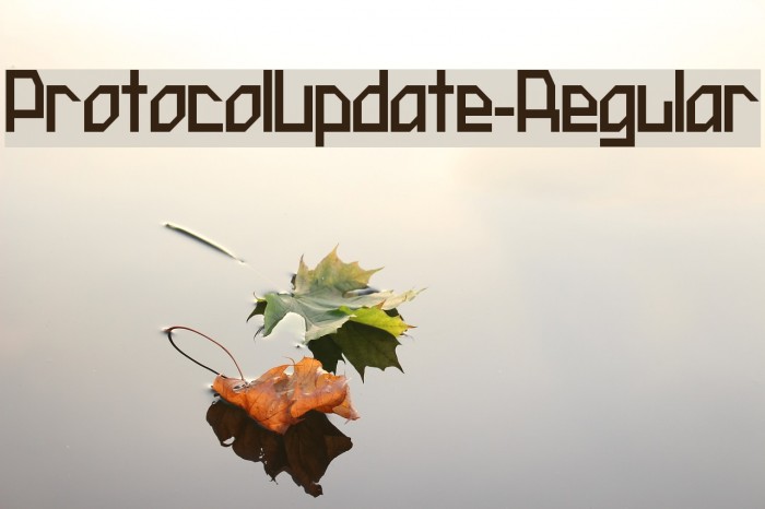 ProtocolUpdate-Regular Font examples