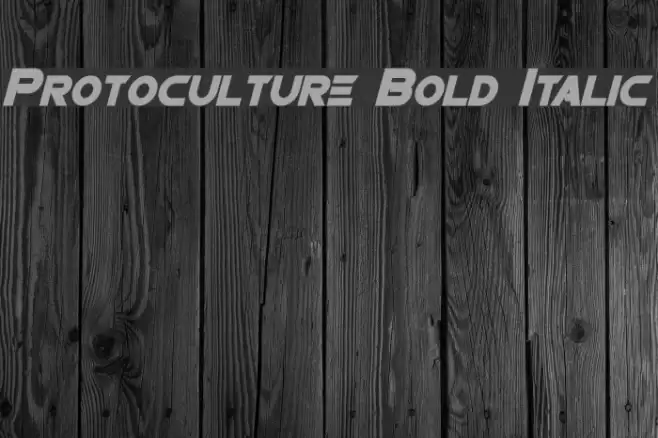 Protoculture Bold Italic Font examples