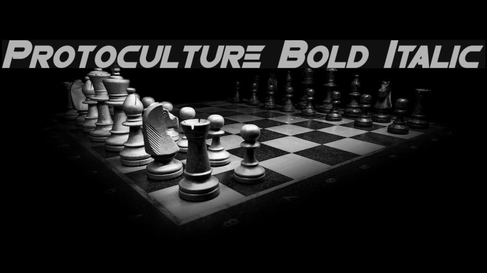 Protoculture Bold Italic Example 2