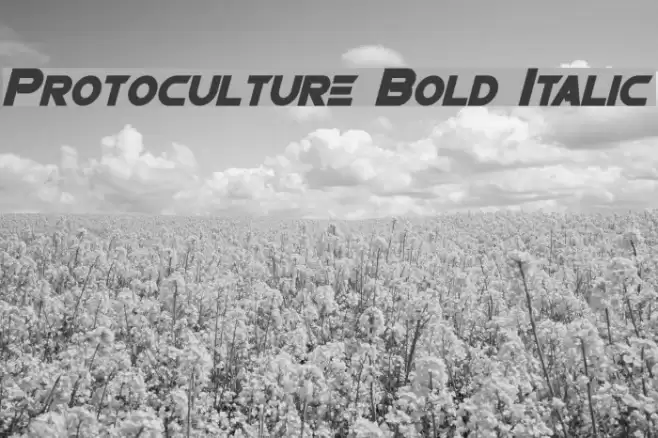 Protoculture Bold Italic Font examples