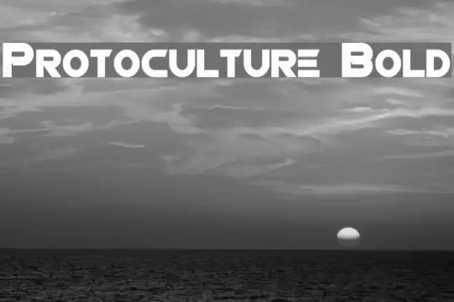 Protoculture Bold Font examples