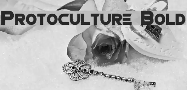 Protoculture Bold Font examples