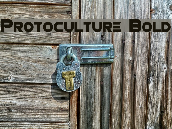 Protoculture Bold Font examples