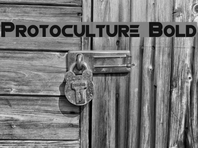 Protoculture Bold Font examples