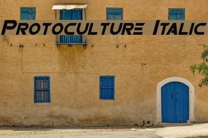 Protoculture Italic Font examples