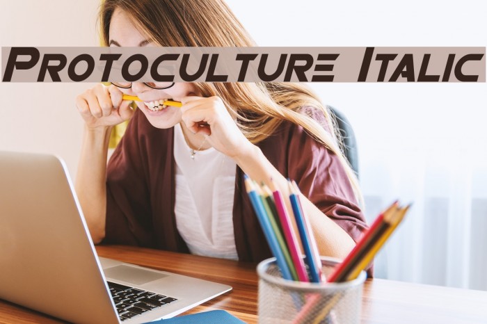 Protoculture Italic Font examples