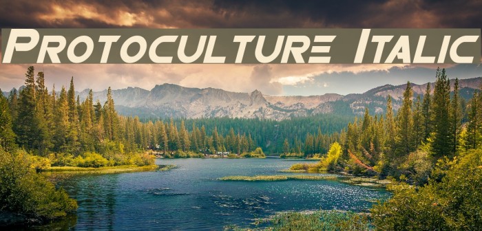 Protoculture Italic Font examples