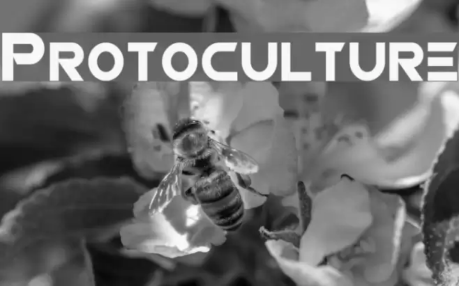 Protoculture Font examples