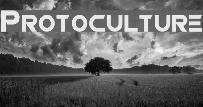 Protoculture Font examples