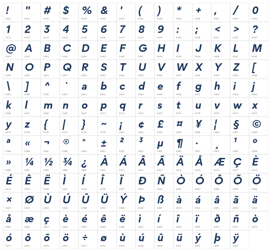 Protofo-BoldItalic Character Map