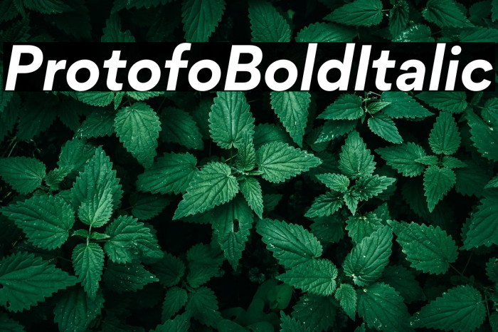 Protofo-BoldItalic Example 1
