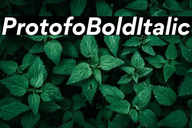 Protofo-BoldItalic Example 1