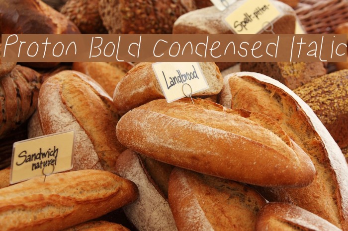 Proton Bold Condensed Italic Example 3