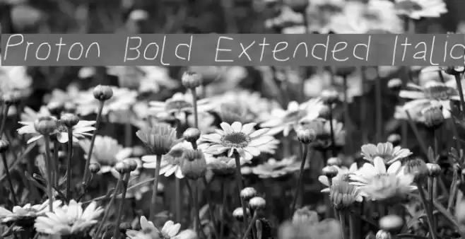Proton Bold Extended Italic Font examples