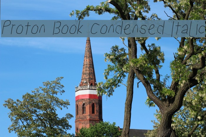 Proton Book Condensed Italic Example 1