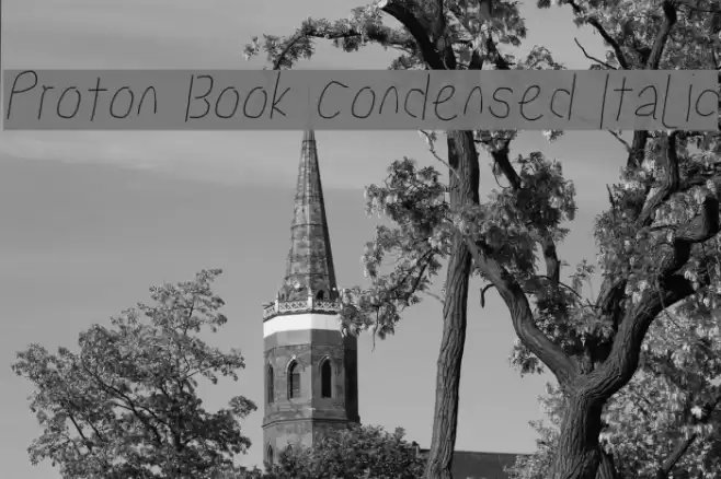 Proton Book Condensed Italic  examples