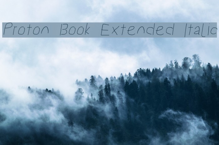 Proton Book Extended Italic Font examples