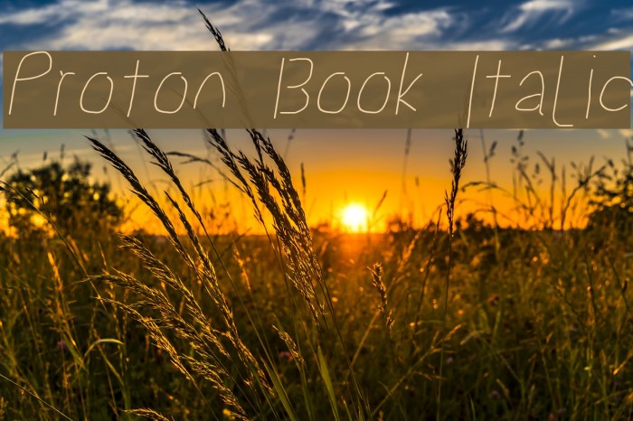 Proton Book Italic Font examples