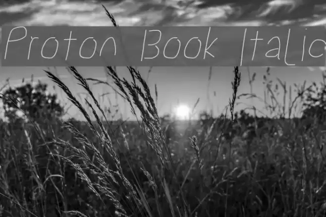 Proton Book Italic  examples