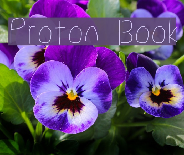 Proton Book Font examples