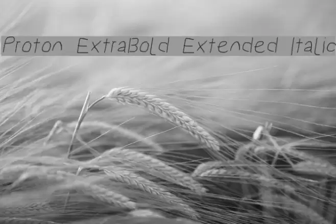 Proton ExtraBold Extended Italic  examples