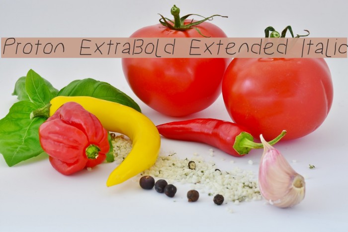 Proton ExtraBold Extended Italic Font examples