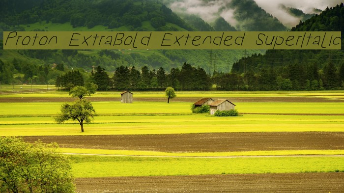 Proton ExtraBold Extended SuperItalic Font examples