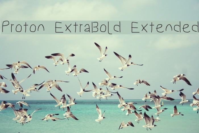 Proton ExtraBold Extended Font examples