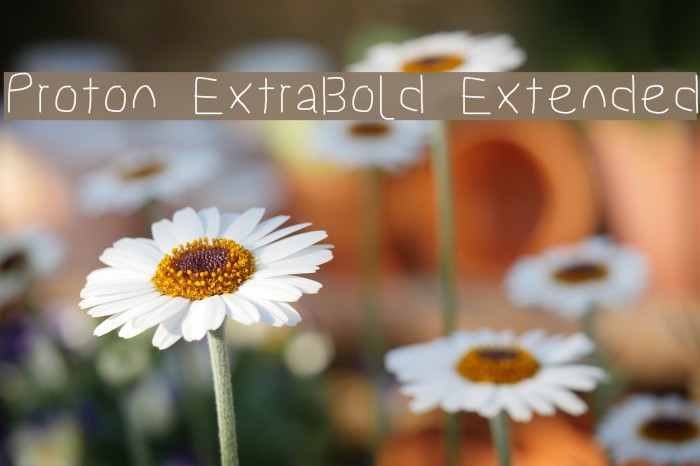 Proton ExtraBold Extended Font examples